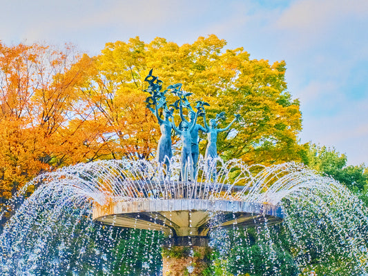 Showa Commemorative National Government Park: Restoring Greenery And Improving Humanity