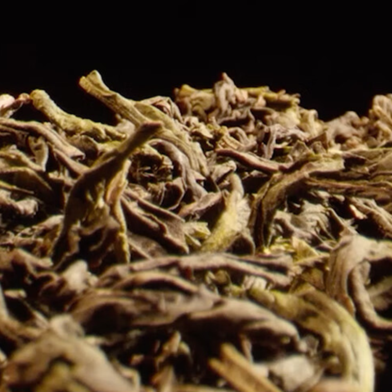 Shotengai-CHINATEA-Premium “3T" Ripe Pu Erh Tea Coin (Large)