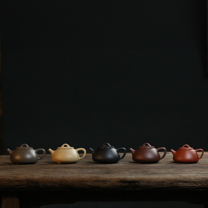 Wusetu Purple Clay Teapot Shi Piao