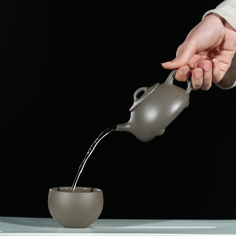 Wusetu Purple Clay Teapot Shi Piao