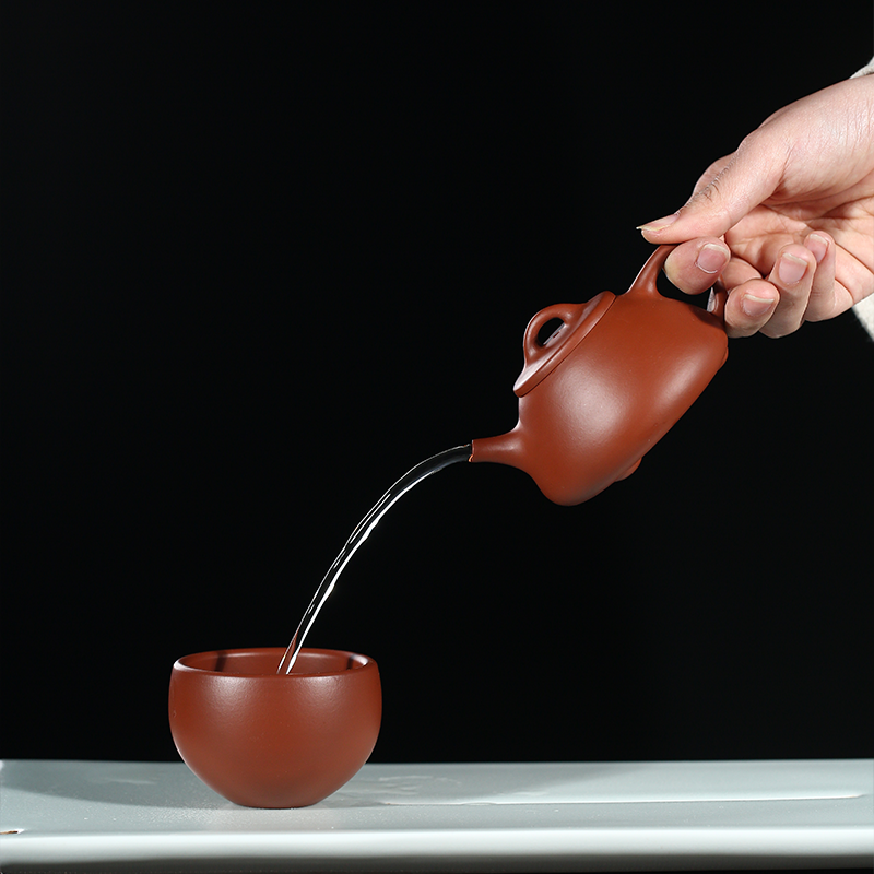 Wusetu Purple Clay Teapot Shi Piao