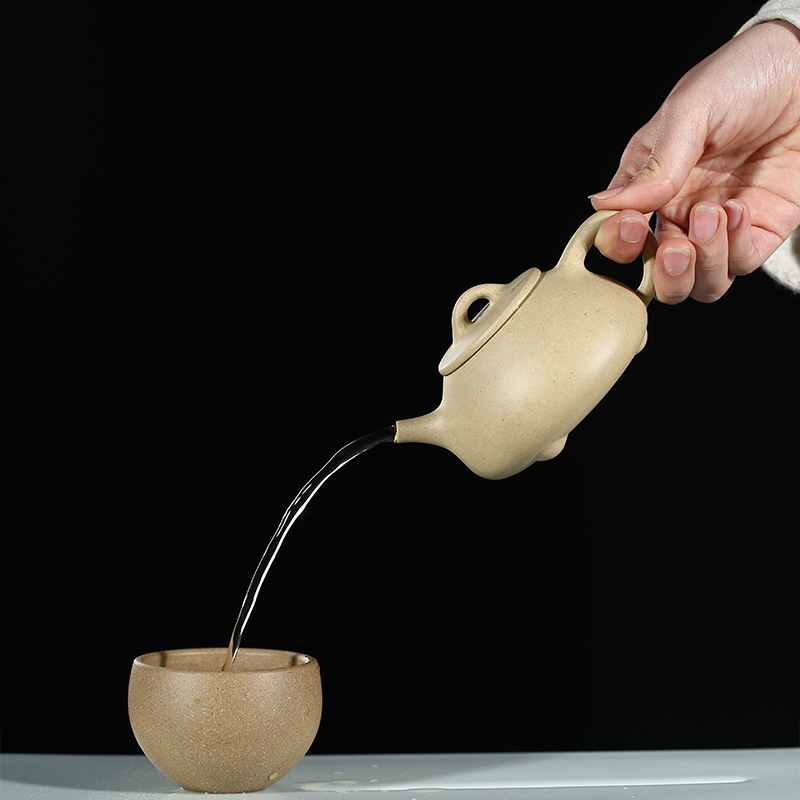 Wusetu Purple Clay Teapot Shi Piao