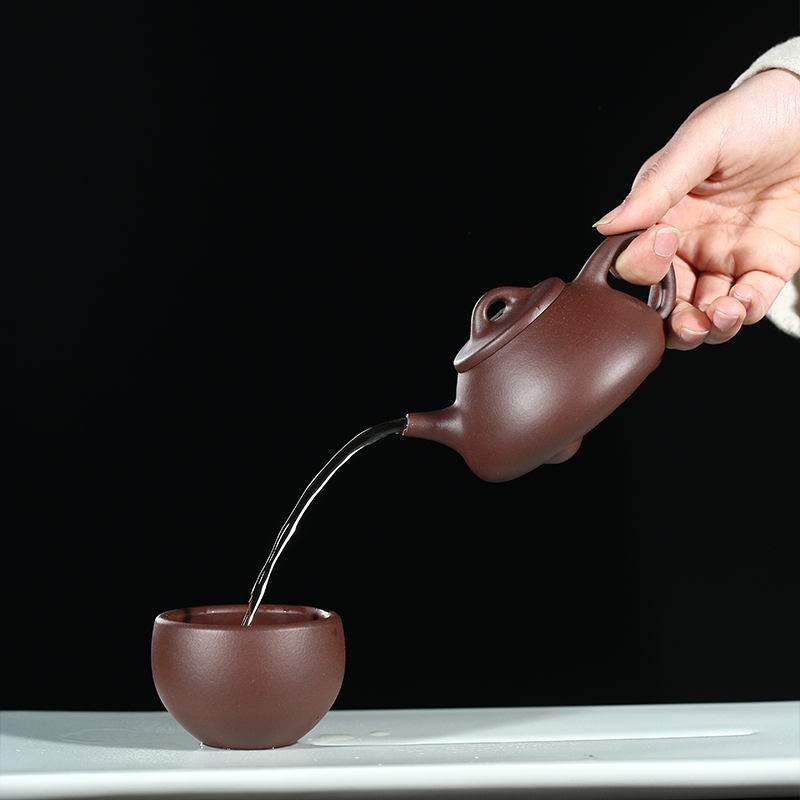 Wusetu Purple Clay Teapot Shi Piao