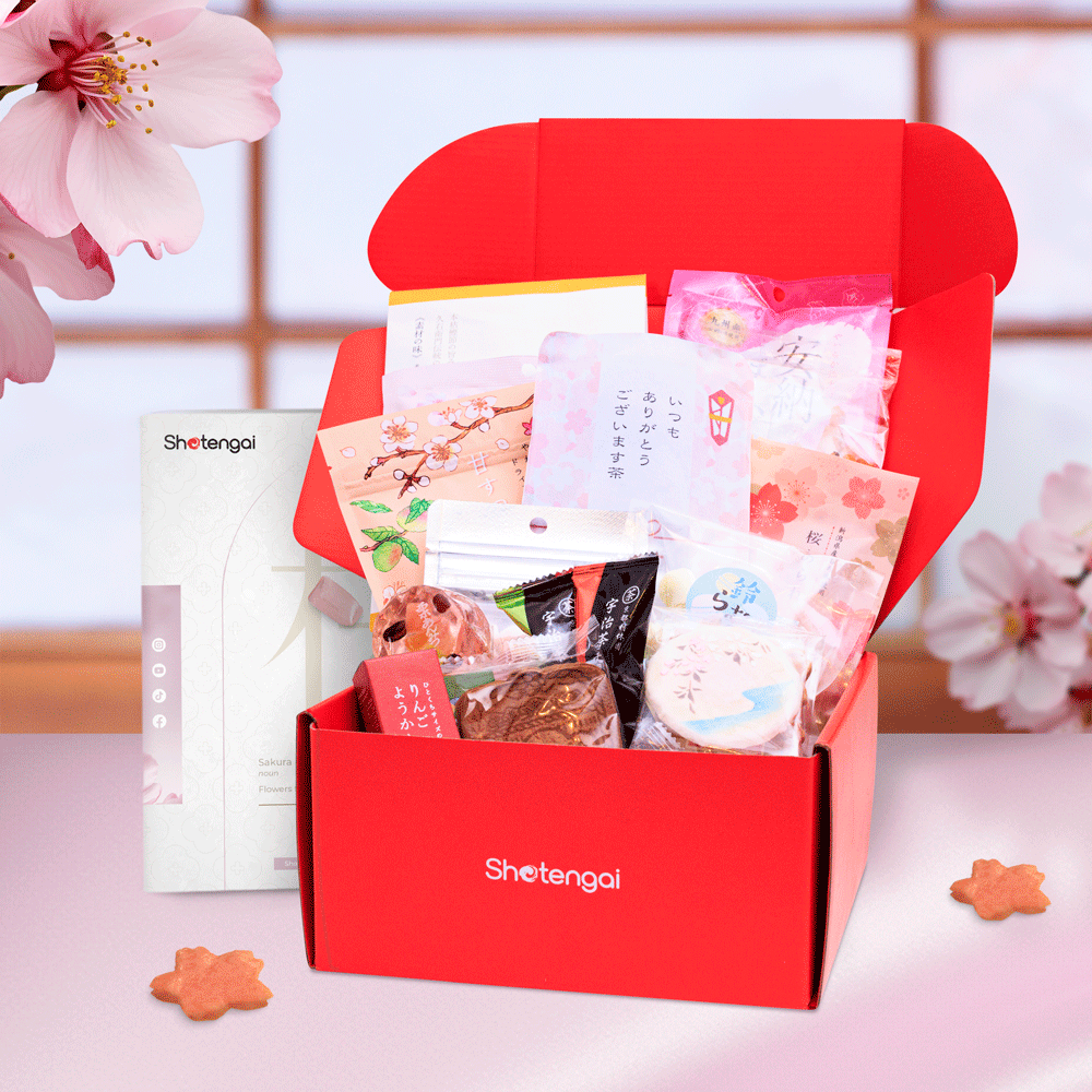Shotengai Snack Box Subscription