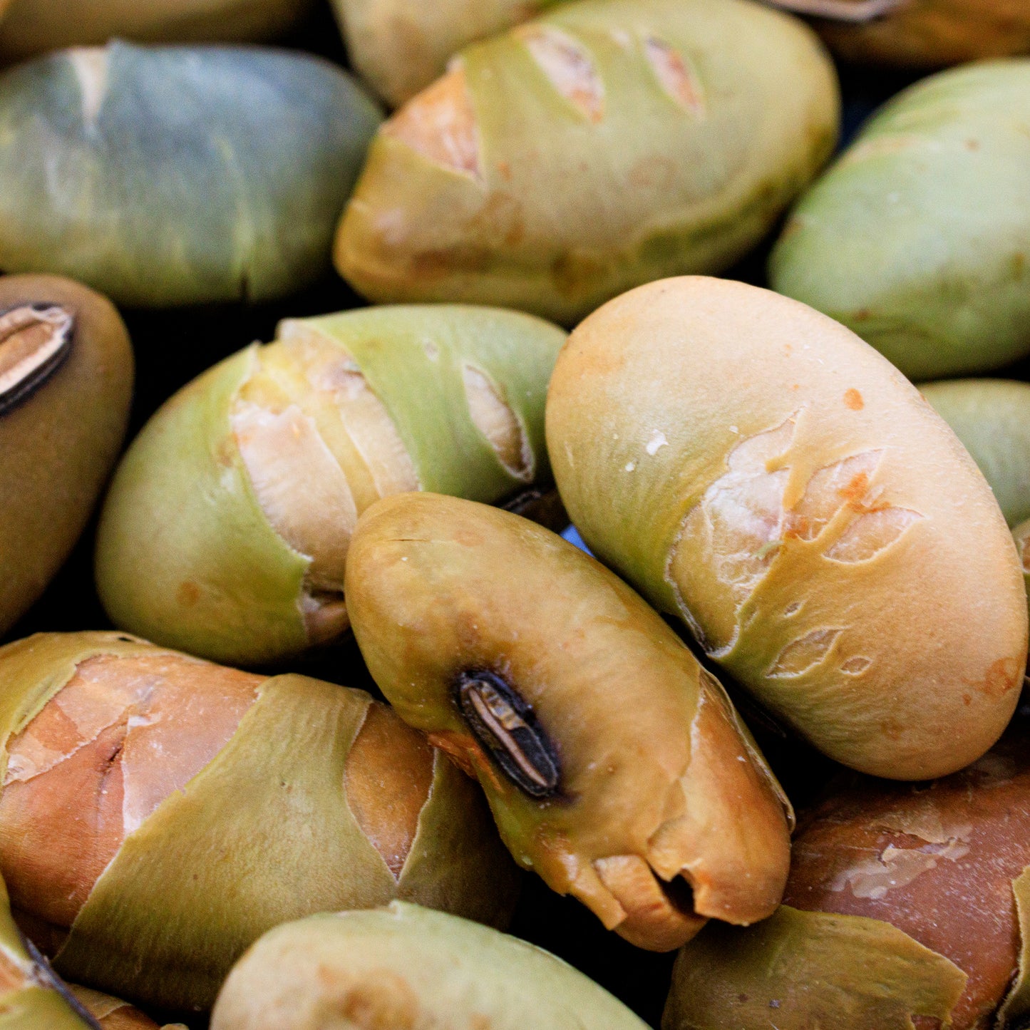 Yamagata Green Soybeans