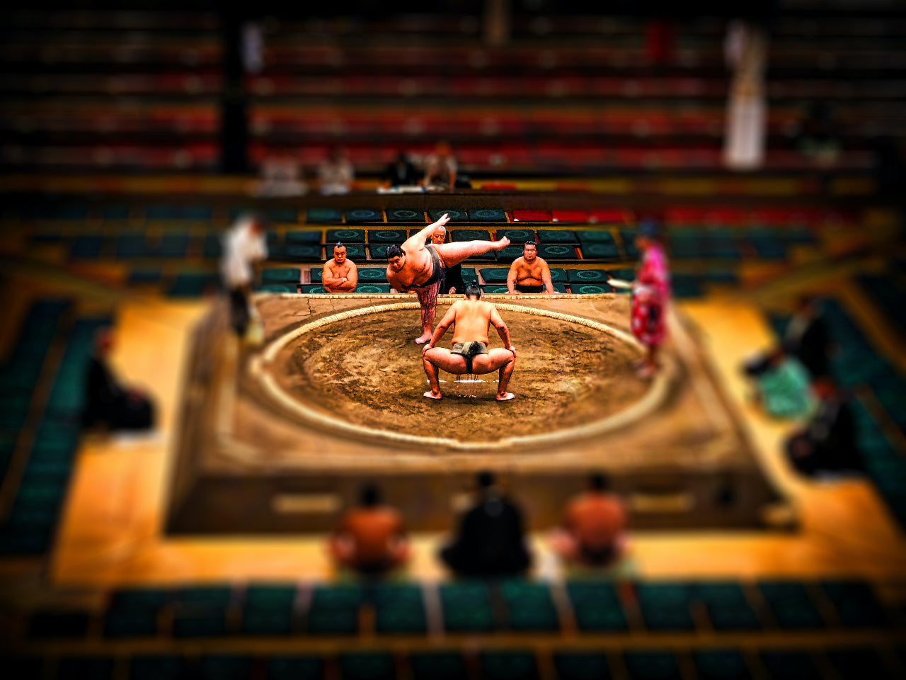 Sumo: The Japanese Wrestling