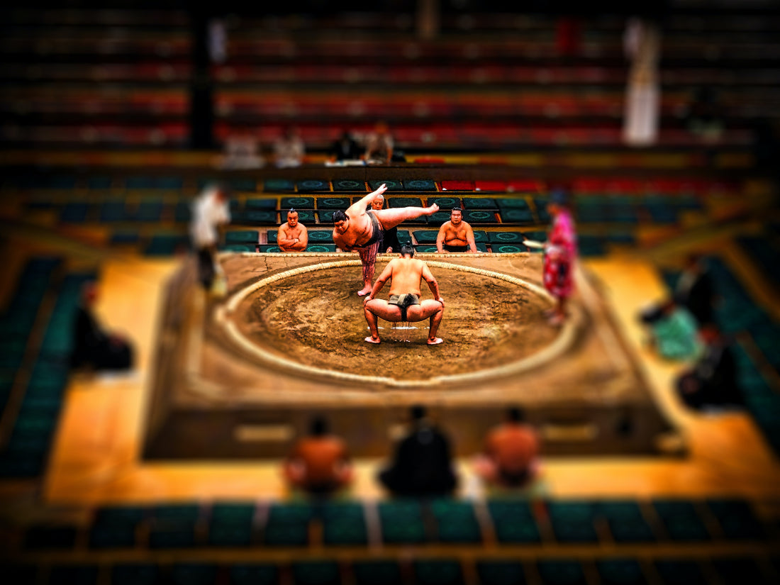 Sumo: Japanese Wrestling