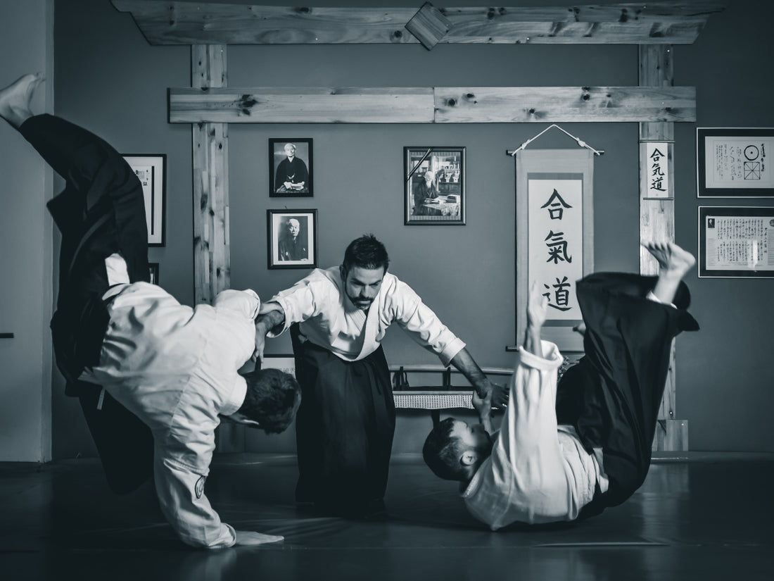 The Spirit of Budo: Grapple with Japanese Martial Arts and Philosophy, Blog