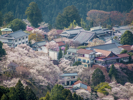 Yoshinoyama