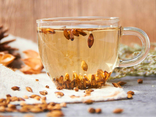 Discover Japan's Beloved Mugicha: Wholesome Barley Tea