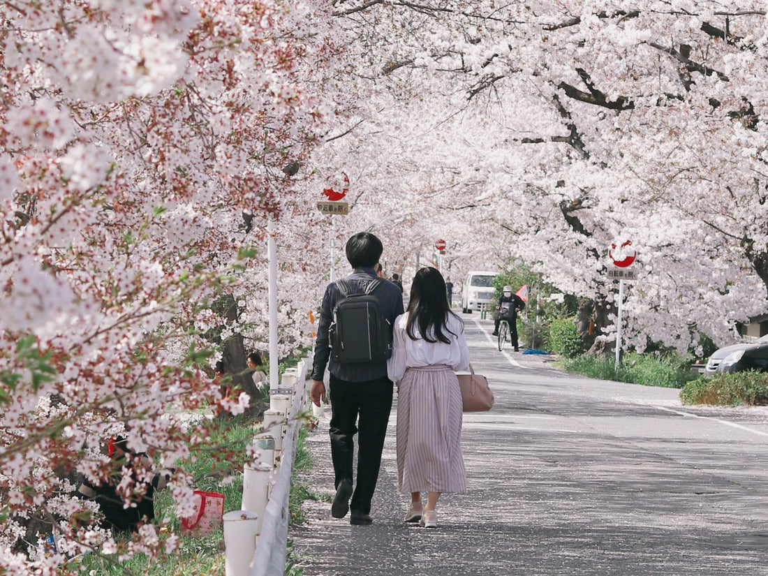 Hanami: Japanese Flower Viewing