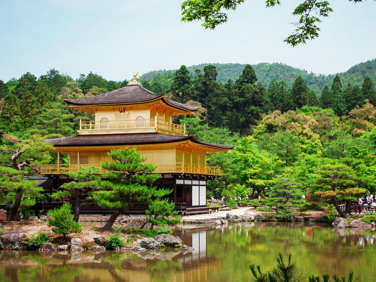 Japanese Scenery (VII): Kinkaku-ji 