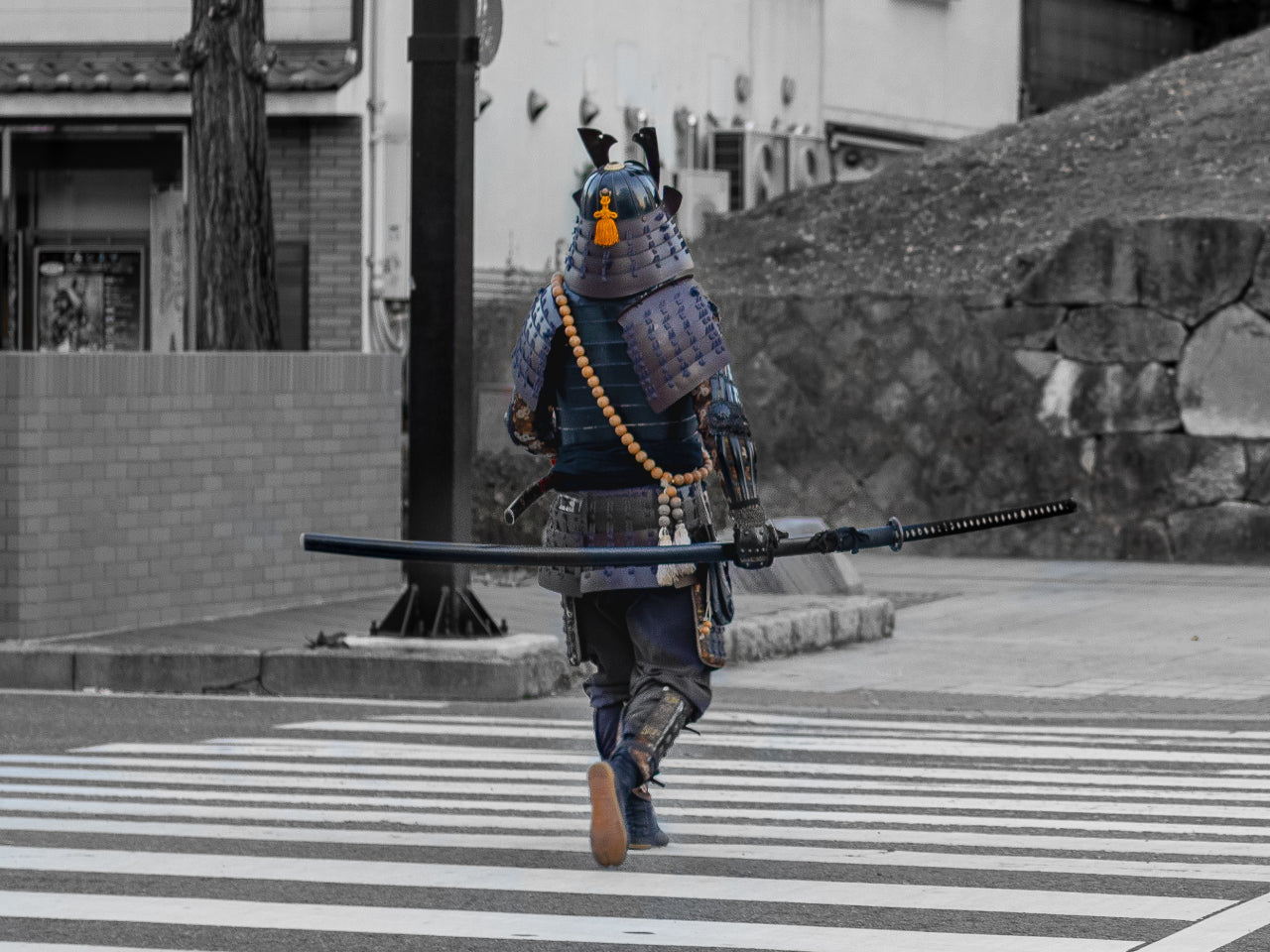 Bushido: The Way of Samurai