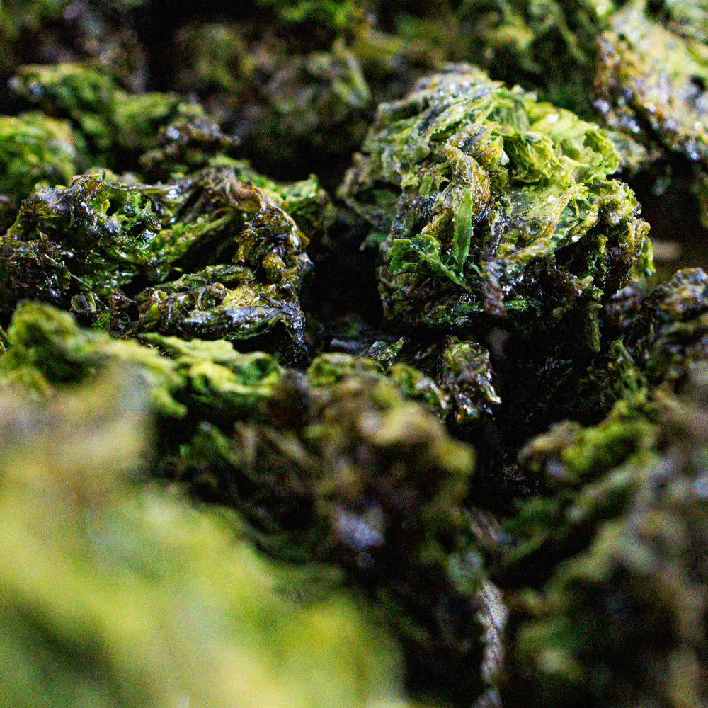 Oyatsu Nori (seaweed)