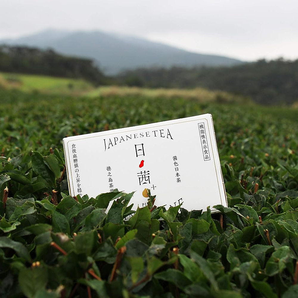 Shotengai-Hinoakane Japanese Tea
